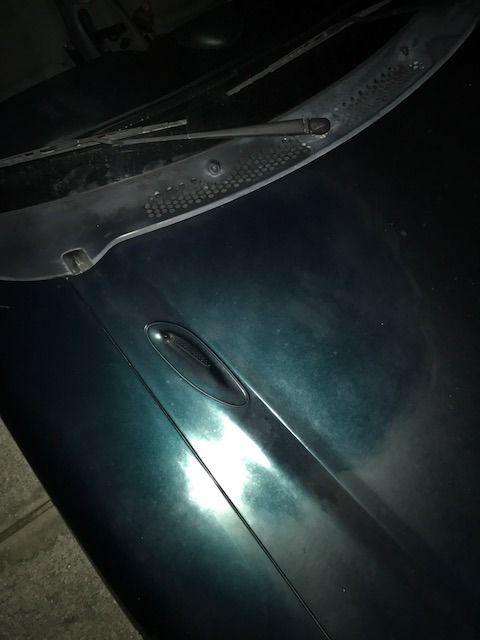 image4_zpstus1ceqk.jpg~original