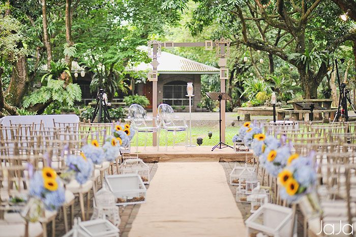 The Mango Farm
