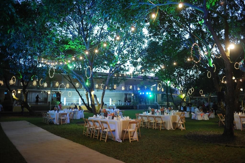 The Mango Farm