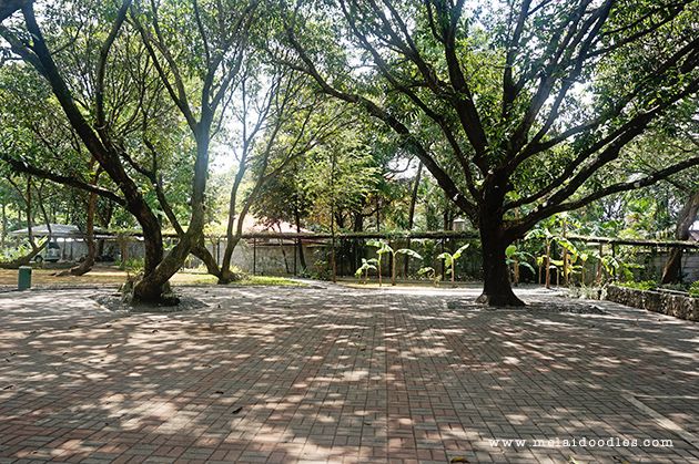 The Mango Farm, Antipolo City