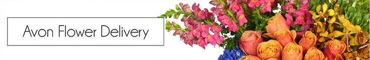 Avon Indiana Flower Delivery Avon Indiana Flower Delivery