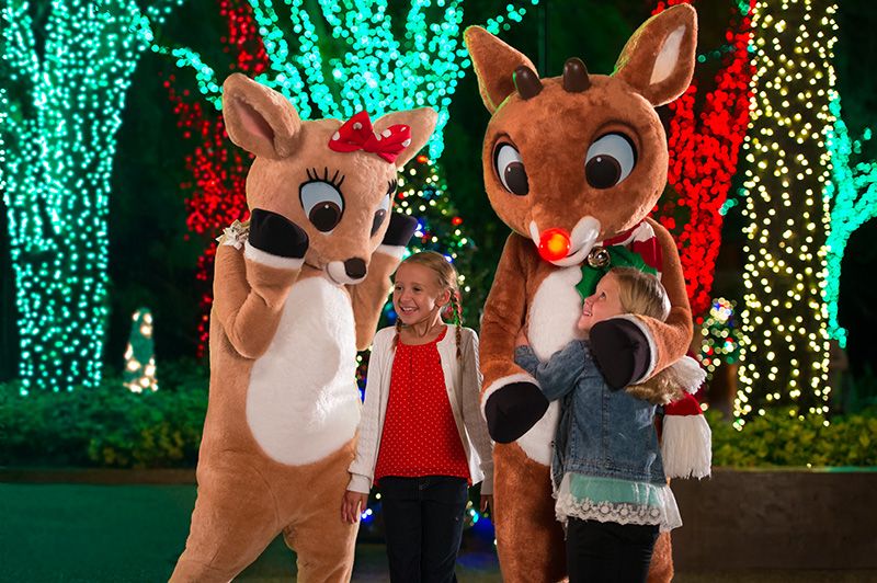 Image c/o SeaWorld Orlando