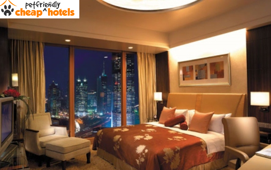 Cheap Pet Friendly Hotels ****This is the PERFECT hotels for you