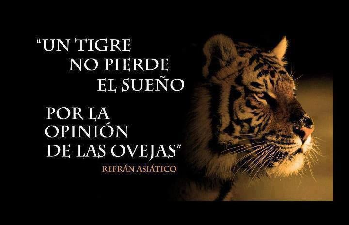  photo TIGRES_zpsa06dd9ba.jpg