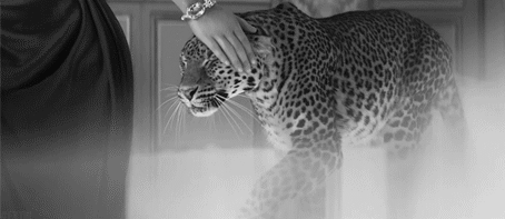 s photo tumblr_mt92j9Nsqc1qcr2gxo1_500_zps45085258.gif