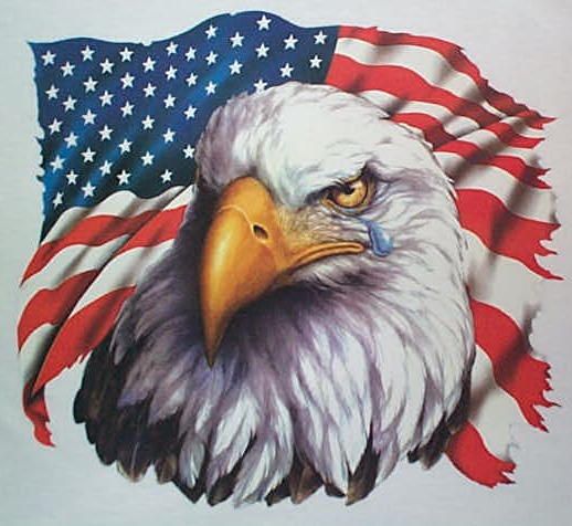 american-flag-eagle-crying-1_zps182b7ba0